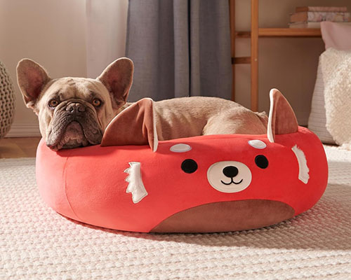 How to Choose the Right Bed for Your Pet