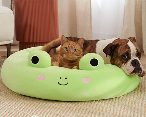 The Benefits of High-Quality Pet Beds